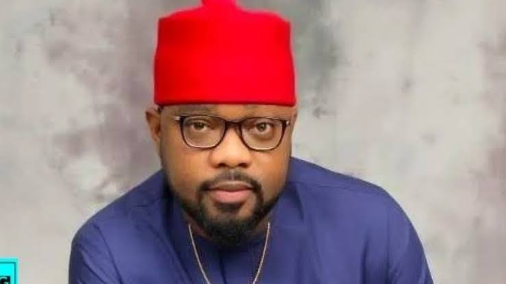 PDP Expels Ugochinyere Over Anti-Party Activities