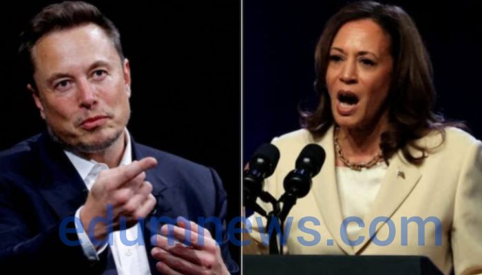 Elon Musk drags Kamala Harris