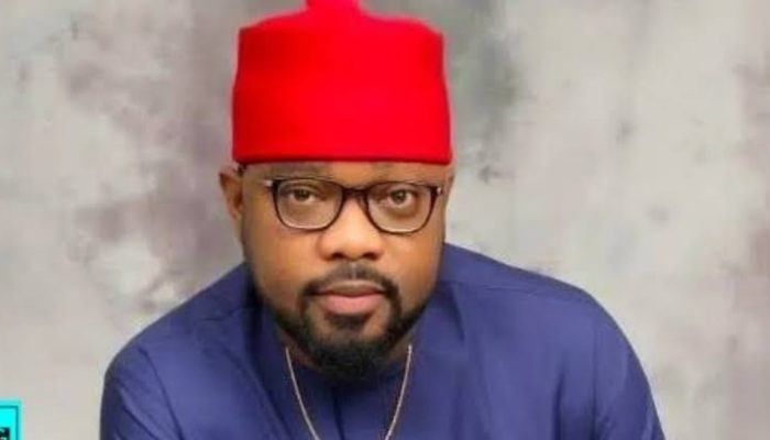 PDP Expels Ugochinyere Over Anti-Party Activities