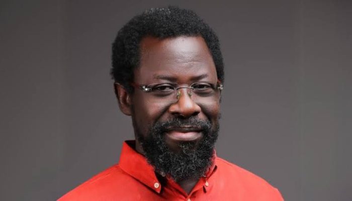 Court Grants Dele Farotimi N30m Bail